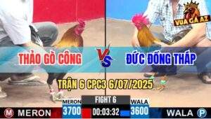Trận 6 CPC3 6/7/2025 - Anh Thảo Gò Công Và Anh Đức Đồng Tháp