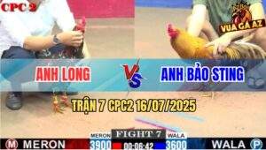 Trận 7 CPC2 16/7/2025 - Anh Bảo Sting Và Anh Long Ngang Tài Ngang Sức