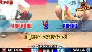 Trận 8 CPC2 2/7/2025 - Anh Bảo Sting Thả Giùm Gà Cú Bị Điều Đá Xì Cơm