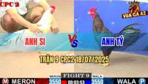 Trận 9 CPC2 18/7/2025 - Bướm Anh Si Đâm Điều Anh Tý Liệt Bàn Tỳ