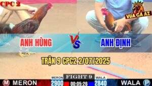 Trận 9 CPC2 2/7/2025 - Gà Điều Anh Định Gãy Cánh Vẫn Gồng Cứu Chủ