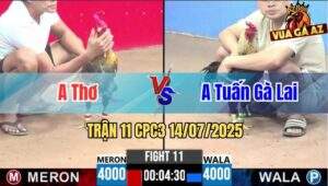 Trận 11 CPC3 14/07/2025 - Gà Anh Tuấn Gà Lai Canh Chặn Khéo Léo