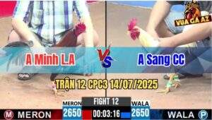 Trận 12 CPC3 14/07/2025 - Anh Minh Long An Vs Anh Sang Củ Chi