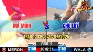 Trận 12 CPC3 27/7/2025 - Gà Bướm Má Minh Xuất Sắc Hạ Gà Điều Chú Luỹ