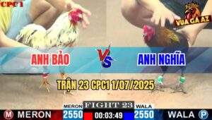 Trận 23 CPC1 1/7/2025 - Anh Bảo Vs Anh Nghĩa
