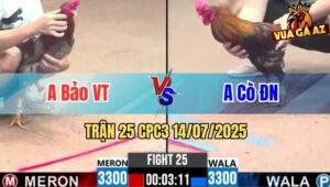 Trận 25 CPC3 14/07/2025 - Gà Anh Bảo Đá Quá Nhanh Quá Nguy Hiểm