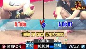 Trận 28 CPC3 15/07/2025 - Anh Tiến Vs Anh Bé Bến Tre