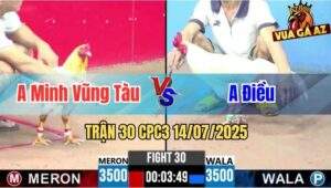 Trận 30 CPC3 14/07/2025 - Anh Minh Vũng Tàu Vs Anh Điều