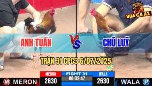 Trận 31 CPC3 6/7/2025 - Anh Tuấn Vs Chú Luỹ