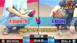 Trận 36 CPC3 15/07/2025 - Anh Giang Tây Ninh Vs Anh Khang