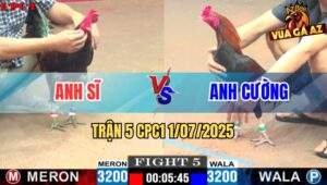 Trận 5 CPC1 1/7/2025 - Gà Điều Anh Trung Sĩ Đá 1 Tăng Hạ Gọn Đối Thủ