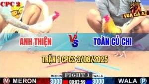 Trận 1 CPC2 3/8/2025 - Bướm Anh Thiện Mở Bát Đâm Cú Cao Chạy Xa Bay