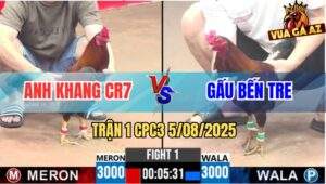 Trận 1 CPC3 5/8/2025 - Anh Khang CR7 Mở Bát Bị Anh Gấu Đá Rớt Giò