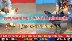 Trận 10 CPC5 22/8/2025 - Bướm Tránh Né Ra Đòn Kết Liễu Điều Nhanh Gọn
