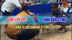 Trận 12 Bồ TonHon 27/8/2025 - Anh Bảo Sting Đụng Chú Lũy Campuchia