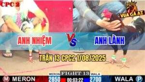 Trận 13 CPC2 1/8/2025 - Điều Cọp Anh Lành Đâm Bướm Banh Ngực