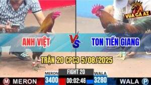Trận 20 CPC3 5/8/2025 - Phèn Đâm Điều Anh Ton Giãy Chết Sau 1 Tay Nước