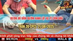 Trận 20 CPC5 21/8/2025 - Bướm Mồng Lá Má Mồng Dâu Đâm Đâu Thấm Đó