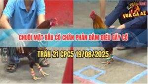 Trận 21 CPC5 19/8/2025 - Chuối Mặt Râu Có Chân Xạo Lờ Đâm Điều Quẹo Cổ