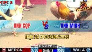 Trận 24 CPC2 6/8/2025 - Bảo Sting Thả Gà Giùm Anh Cọp Bị Đá Lìa Giò