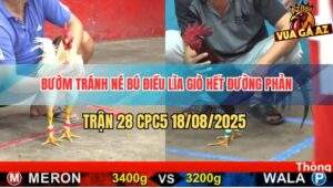 Trận 28 CPC5 18/8/2025 - Bướm Canh Chặn Quá Hay Đối Thủ Vô Không Nổi