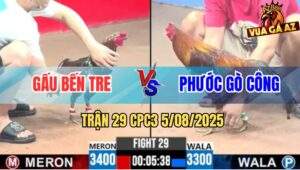 Trận 29 CPC3 5/8/2025 - Anh Gấu Bến Tre Và Anh Phước Gò Công
