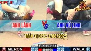 Trận 31 CPC2 3/8/2025 - Anh Lành Vũng Tàu Và Anh Vũ Linh