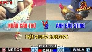 Trận 31 CPC2 6/8/2025 - Anh Bảo Sting Tiếp Tục Rớt Nài Vơi Anh Nhân