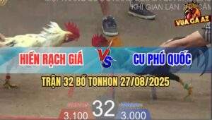 Trận 32 Bồ TonHon 27/8/2025 - Anh Hiền Rạch Giá Và Anh Cu Phú Quốc