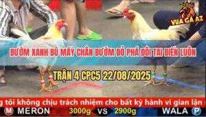 Trận 4 CPC5 22/8/2025 - Bướm Xanh Đâm Bướm Đỏ Phá Đôi Tai Biến Luôn
