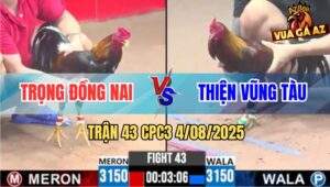 Trận 43 CPC3 4/8/2025 - Anh Trọng Đồng Nai Và Anh Thiện Vũng Tàu