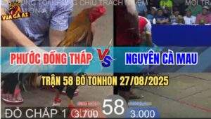 Trận 58 Bồ TonHon 27/8/2025 - Điều Cọp Bảo Sting 1 Cây Đâm Bướm Xì Cơm