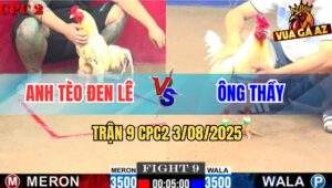 Trận 9 CPC2 3/8/2025 - Anh Tèo Đen Lê Đụng Độ Ông Thầy