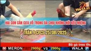 Trận 9 CPC5 25/8/2025 - Vô Nước Khuya Úa Gồng Hết Nổi Kêu Miệng