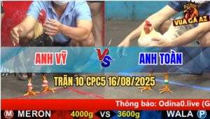 Trận 10 CPC5 Ngày 16/08/2025
