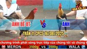 Trận 11 CPC5 Ngày 16/08/2025