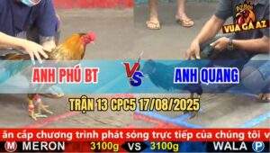 Trận 13 CPC5 Ngày 17/8/2025