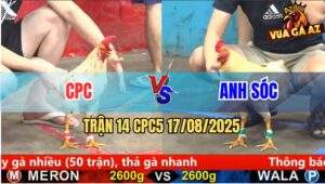 Trận 14 CPC5 Ngày 17/8/2025