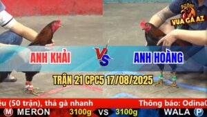 Trận 21 CPC5 Ngày 17/8/2025