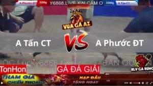 Trận 6 Tonhon 13_08_2025 - Úa Hàng Hiệu Quá Đâm Hạ Đẹp Điều Nhanh Gọn Lẹ