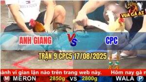 Trận 9 CPC5 Ngày 17/8/2025