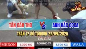 Trận 17 Bồ TonHon 27/09/2025 - Anh Tấn Cần Thơ Gặp Anh Hắc Coca