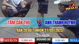 Trận 20 Bồ TonHon 27/09/2025 - Anh Tâm Cần Thơ Và Anh Thanh Huỳnh