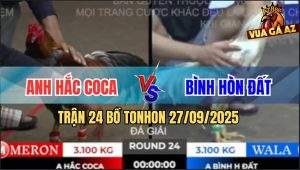 Trận 24 Bồ TonHon 27/09/2025 - Anh Hắc Coca Gặp Anh Bình Hòn Đất