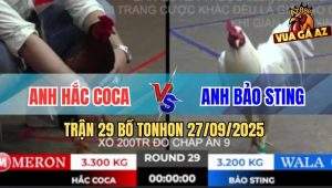 Trận 29 Bồ TonHon 27/09/2025 - Úa Hiệu Bảo Sting Không Có Đường Về