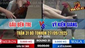 Trận 31 Bồ TonHon 27/09/2025 - Anh Gấu Bến Tre Gặp Anh Vỹ Kiên Giang