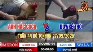 Trận 44 Bồ TonHon 27/09/2025 - Anh Hắc Coca Và Anh Duy Kê Thổ