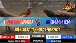 Trận 49 Bồ TonHon 27/09/2025 - Gà Bảo Sting Kém 1Kg Hạ Đẹp Gà Đuôn CPC
