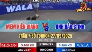 Trận 7 Bồ TonHon 27/09/2025 - Anh Bảo Sting Và Anh Mến Kiên Giang