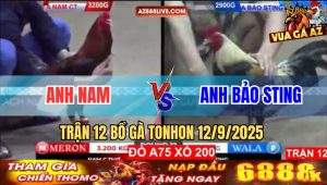 Trận 12 Bồ Tonhon 12/9/2025